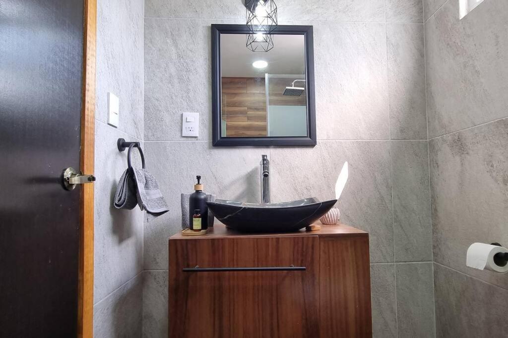 Vinedito Del Coyote, Coyoacan Apartment *