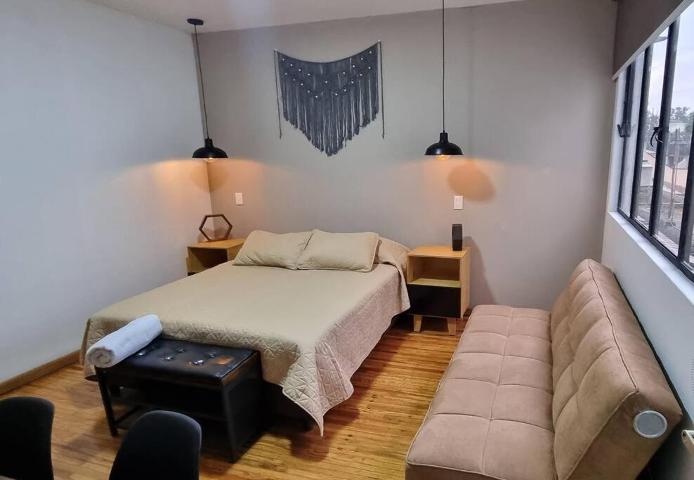 Vinedito Del Coyote, Coyoacan Apartment