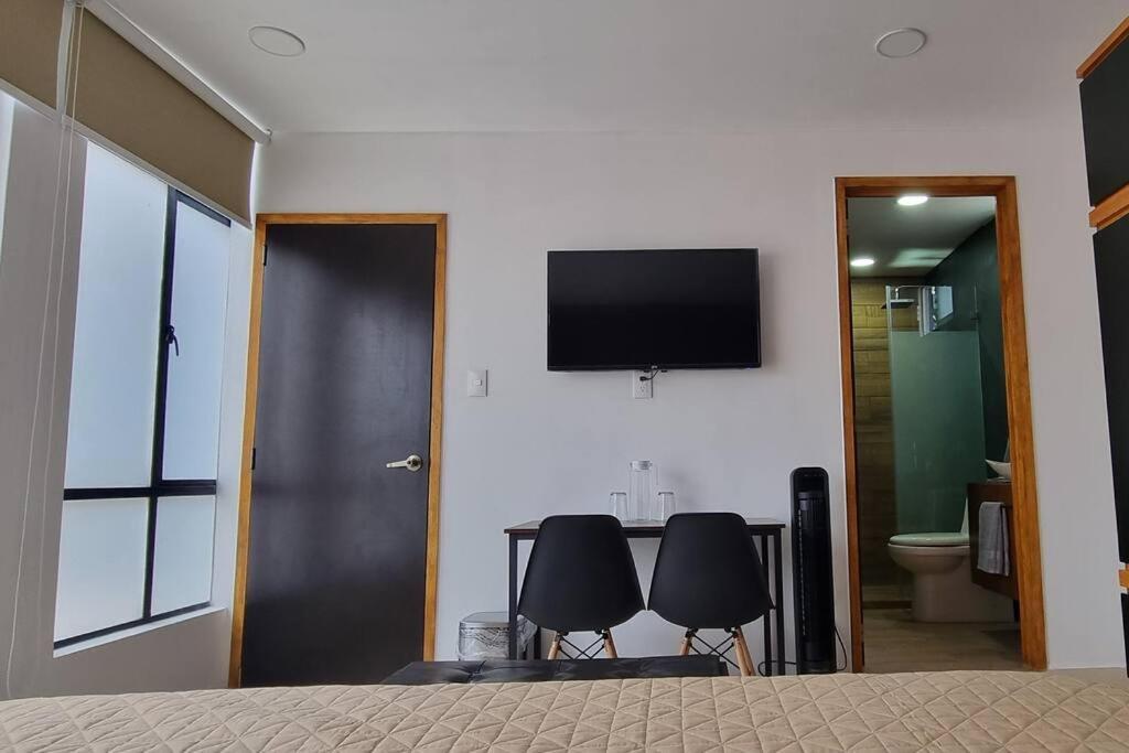Vinedito Del Coyote, Coyoacan Apartment *