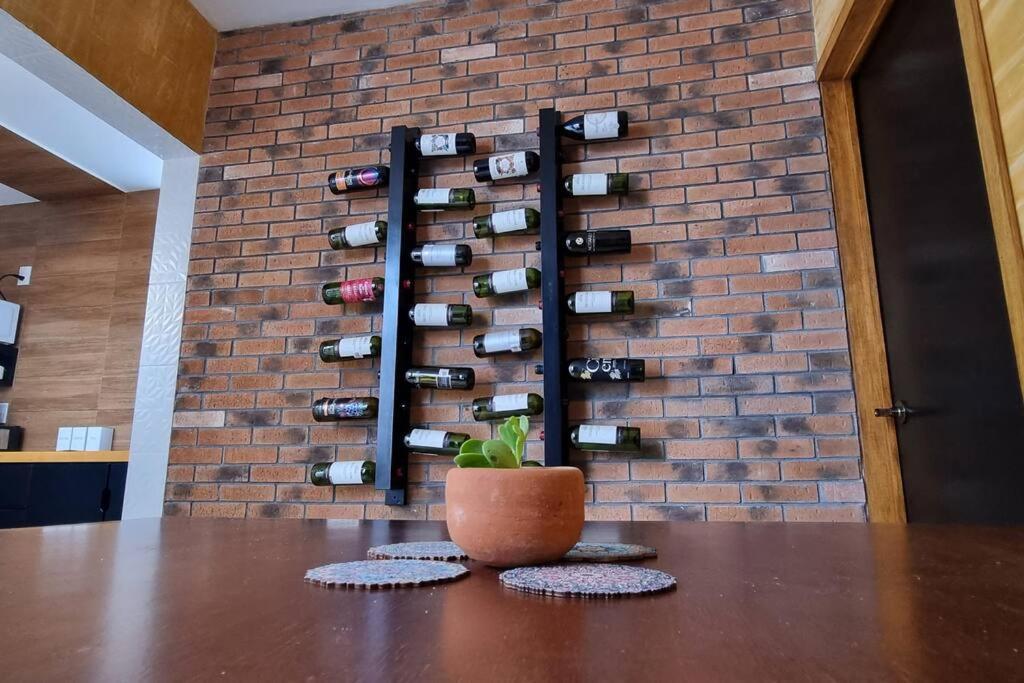 Apartment Vinedito Del Coyote, Coyoacan *